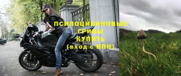 прущие крисы Абаза