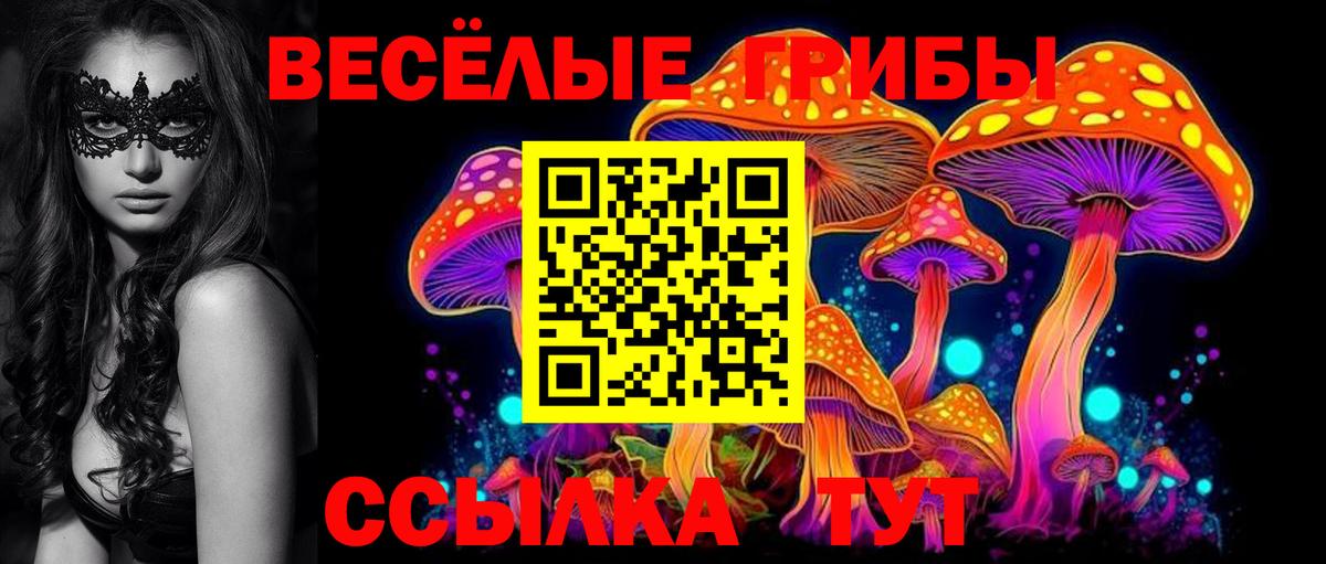 Псилоцибиновые грибы Psilocybine cubensis  Вход с VPN  Ханты-Мансийск 