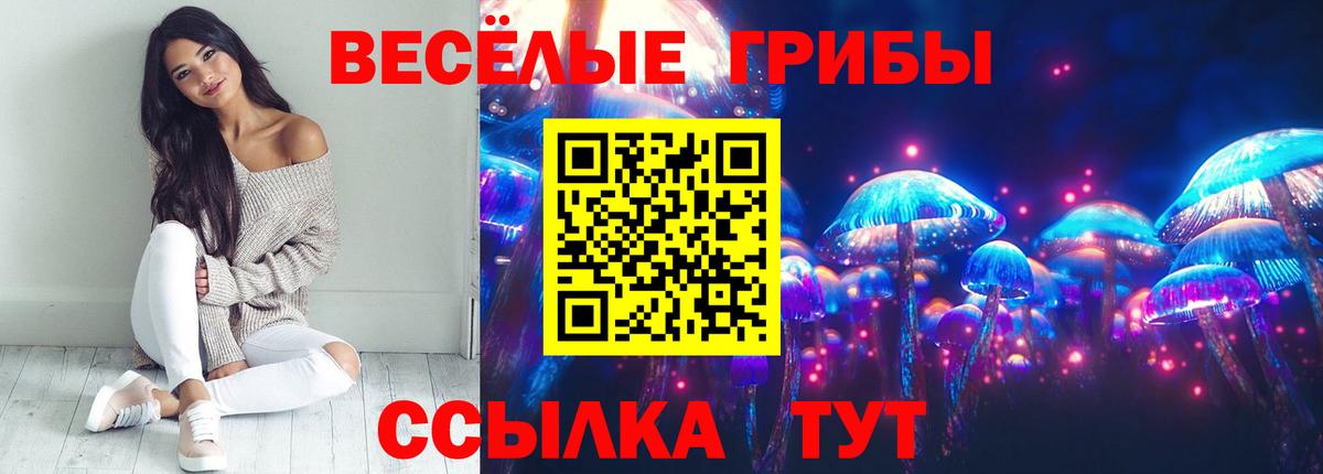 Псилоцибиновые грибы Psilocybe Ханты-Мансийск