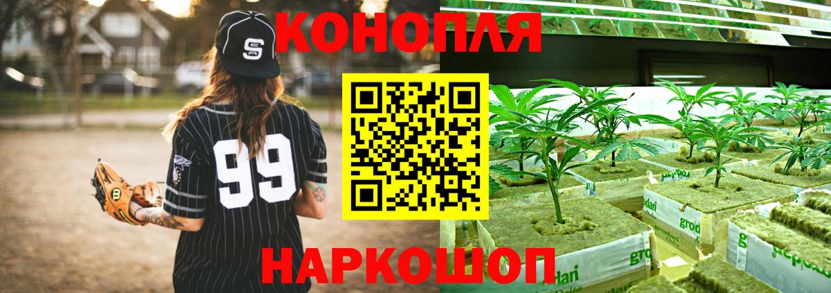 Бошки Шишки AK-47  Канабис план  Каннабис White Widow  Ханты-Мансийск  Вход с VPN 